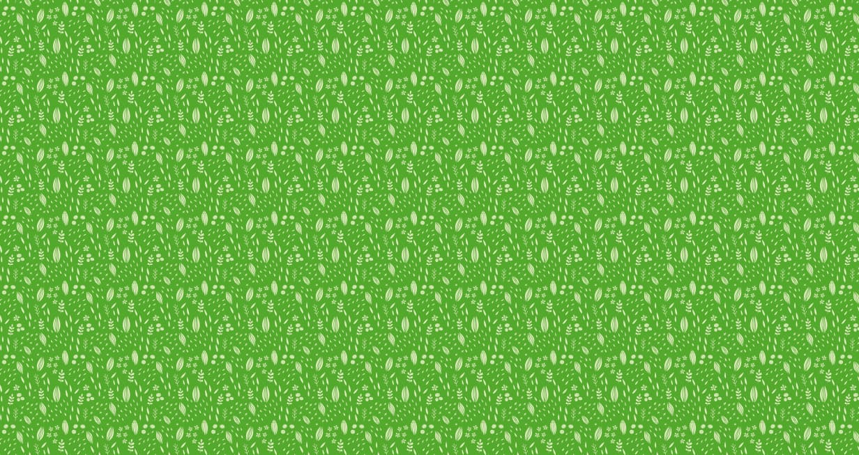 bg-slider-2